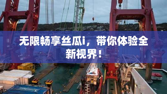 无限畅享丝瓜i，带你体验全新视界！