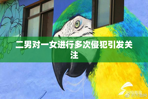 二男对一女进行多次侵犯引发关注