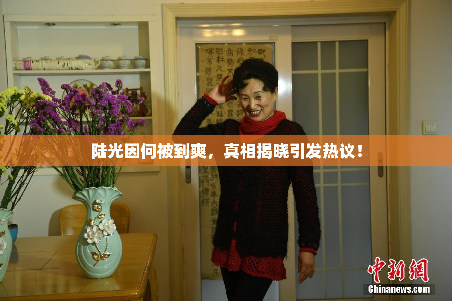 陆光因何被到爽，真相揭晓引发热议！