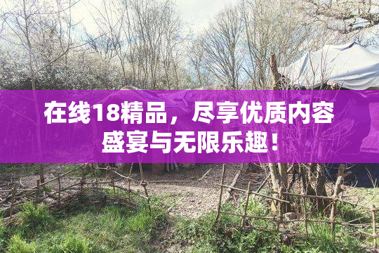 在线18精品，尽享优质内容盛宴与无限乐趣！