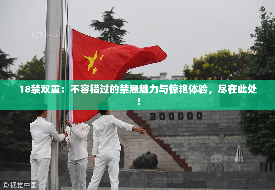 18禁双重：不容错过的禁忌魅力与惊艳体验，尽在此处！