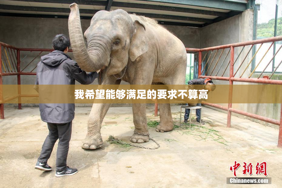 我希望能够满足的要求不算高
