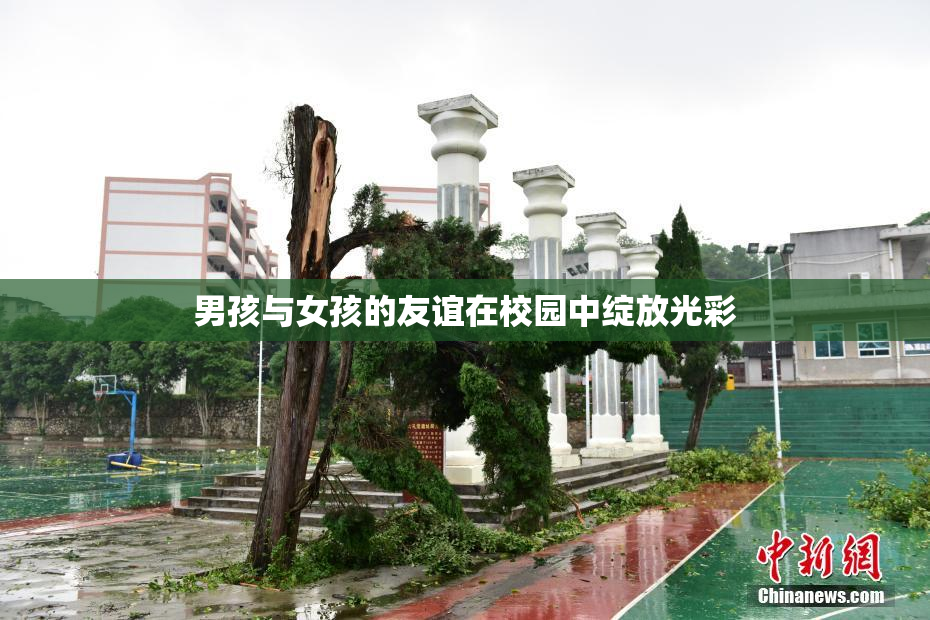 男孩与女孩的友谊在校园中绽放光彩
