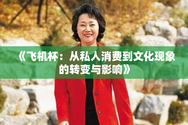《飞机杯：从私人消费到文化现象的转变与影响》