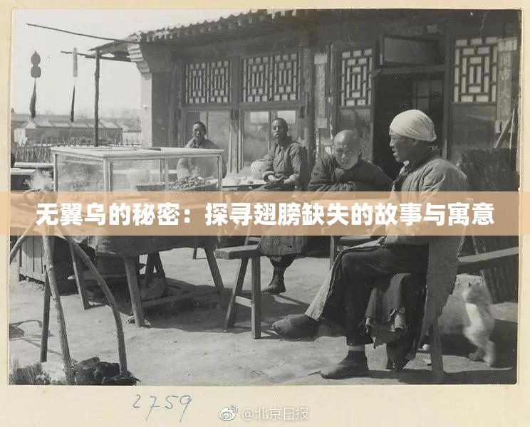 无翼乌的秘密：探寻翅膀缺失的故事与寓意