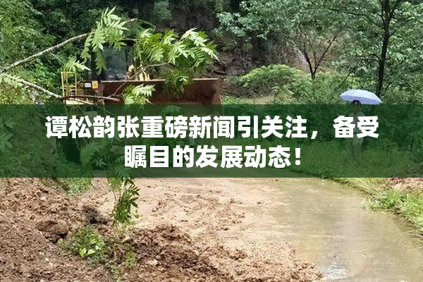 谭松韵张重磅新闻引关注，备受瞩目的发展动态！