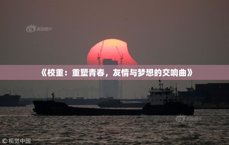 《校重：重塑青春，友情与梦想的交响曲》