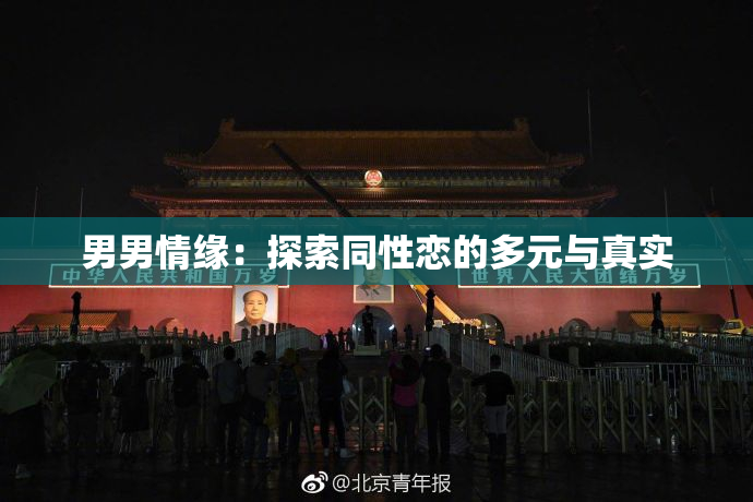 男男情缘：探索同性恋的多元与真实