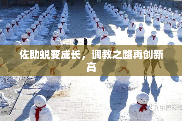 佐助蜕变成长，调教之路再创新高