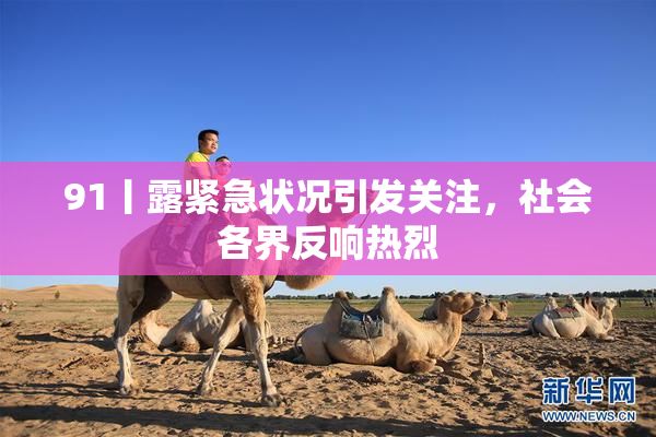 91丨露紧急状况引发关注，社会各界反响热烈