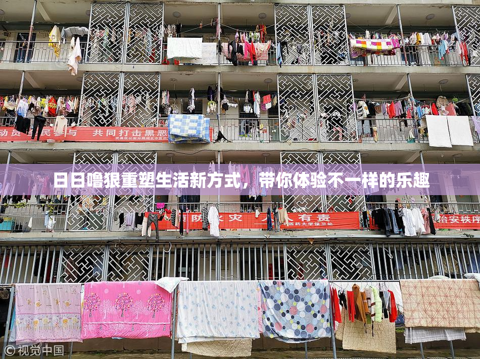 日日噜狠重塑生活新方式，带你体验不一样的乐趣