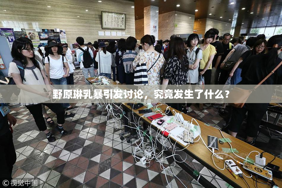 野原琳乳暴引发讨论，究竟发生了什么？