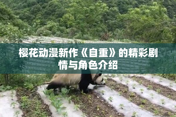 樱花动漫新作《自重》的精彩剧情与角色介绍