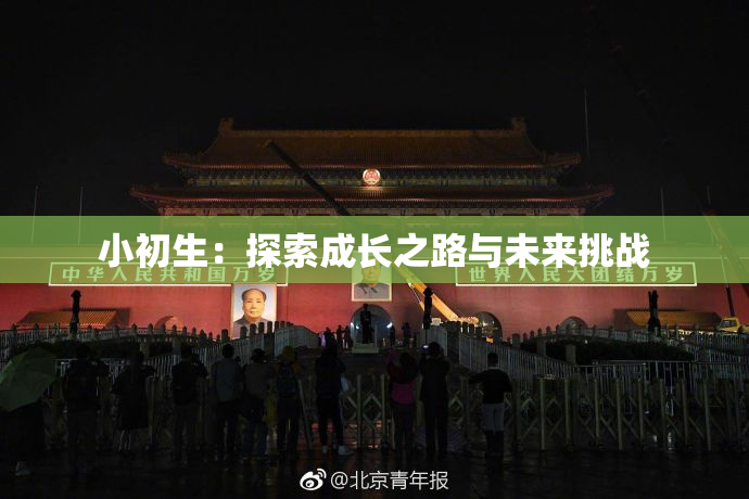 小初生：探索成长之路与未来挑战