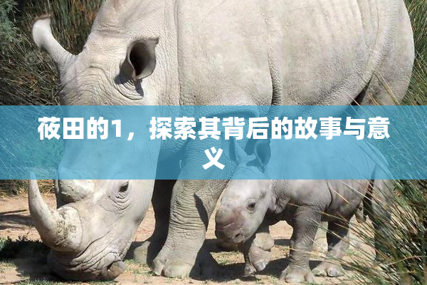莜田的1，探索其背后的故事与意义