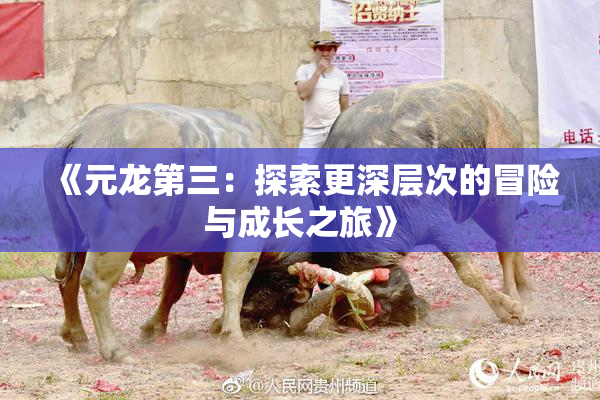 《元龙第三：探索更深层次的冒险与成长之旅》