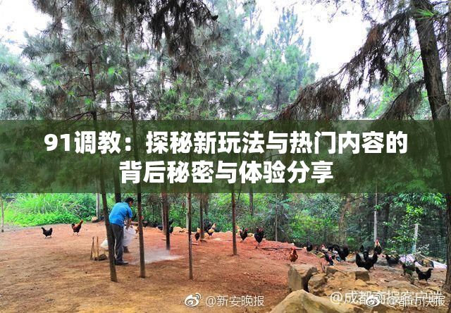 91调教：探秘新玩法与热门内容的背后秘密与体验分享