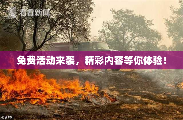 免费活动来袭，精彩内容等你体验！