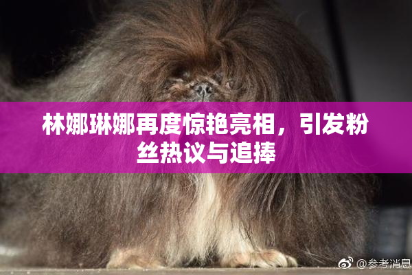 林娜琳娜再度惊艳亮相，引发粉丝热议与追捧