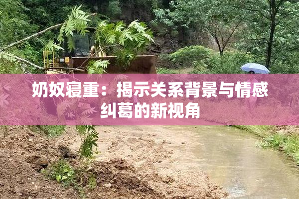 奶奴寝重：揭示关系背景与情感纠葛的新视角