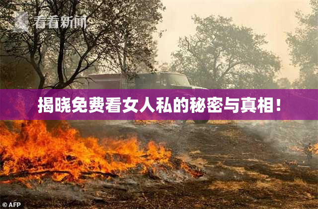 揭晓免费看女人私的秘密与真相！