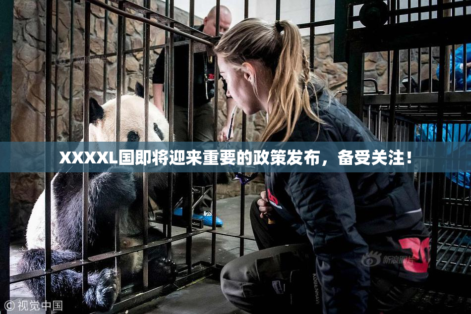 XXXXL国即将迎来重要的政策发布，备受关注！