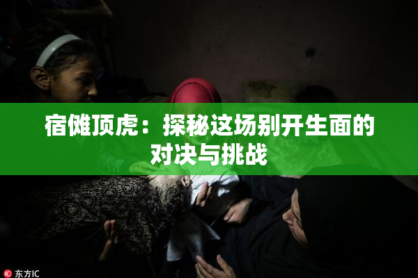 宿傩顶虎：探秘这场别开生面的对决与挑战