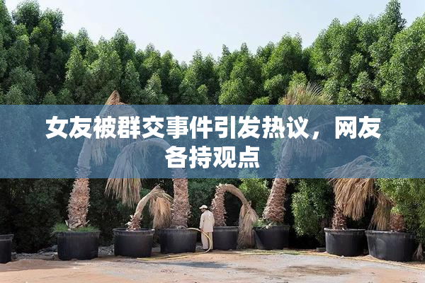 女友被群交事件引发热议，网友各持观点