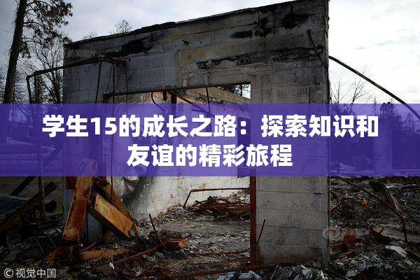 学生15的成长之路：探索知识和友谊的精彩旅程