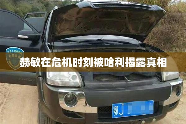 赫敏在危机时刻被哈利揭露真相