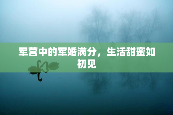 军营中的军婚满分，生活甜蜜如初见