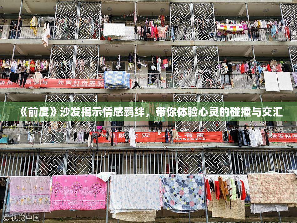《前度》沙发揭示情感羁绊，带你体验心灵的碰撞与交汇