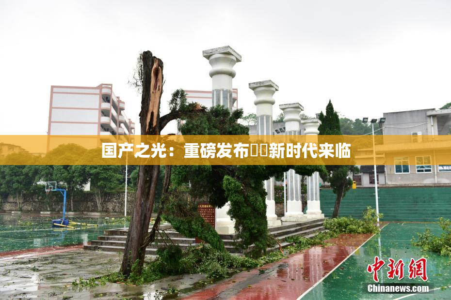 国产之光：重磅发布❌‌新时代来临