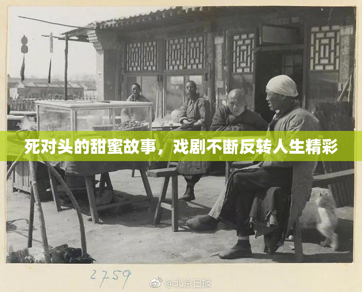 死对头的甜蜜故事，戏剧不断反转人生精彩