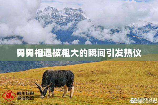 男男相遇被粗大的瞬间引发热议