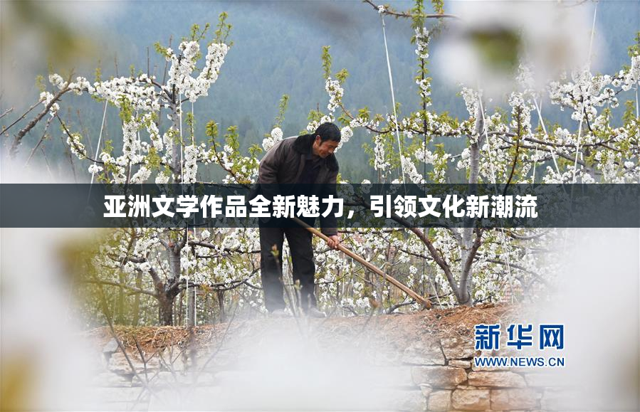 亚洲文学作品全新魅力，引领文化新潮流