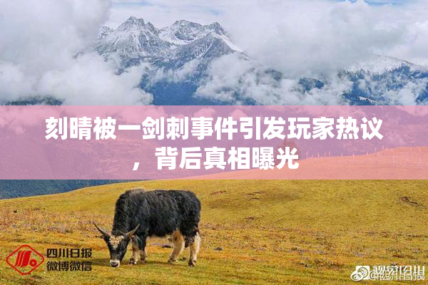 刻晴被一剑刺事件引发玩家热议，背后真相曝光