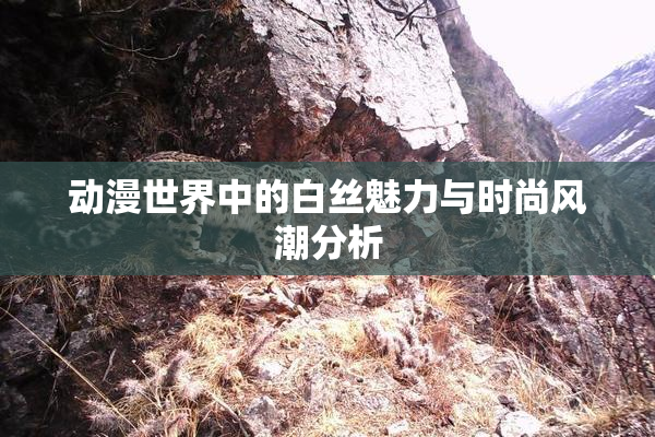 动漫世界中的白丝魅力与时尚风潮分析
