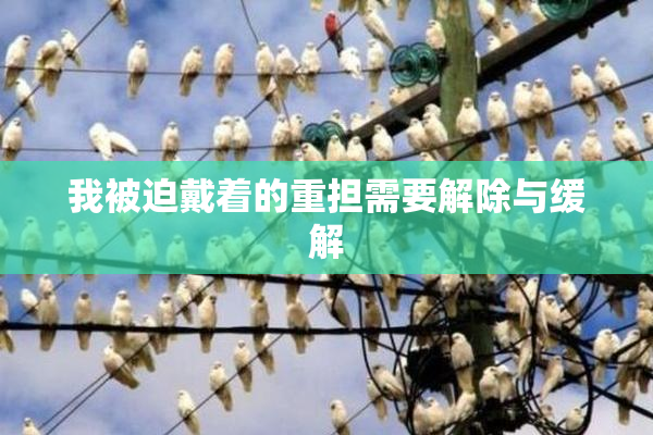 我被迫戴着的重担需要解除与缓解