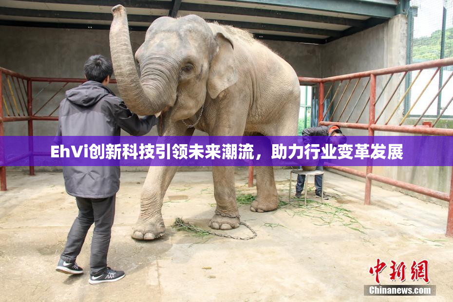 EhVi创新科技引领未来潮流，助力行业变革发展