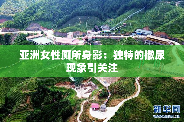 亚洲女性厕所身影：独特的撒尿现象引关注