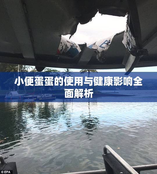 小便蛋蛋的使用与健康影响全面解析