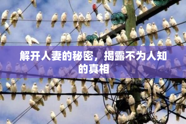 解开人妻的秘密，揭露不为人知的真相
