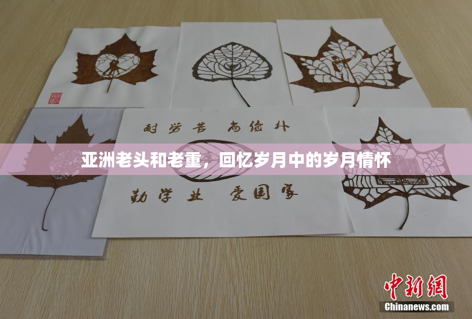 亚洲老头和老重，回忆岁月中的岁月情怀