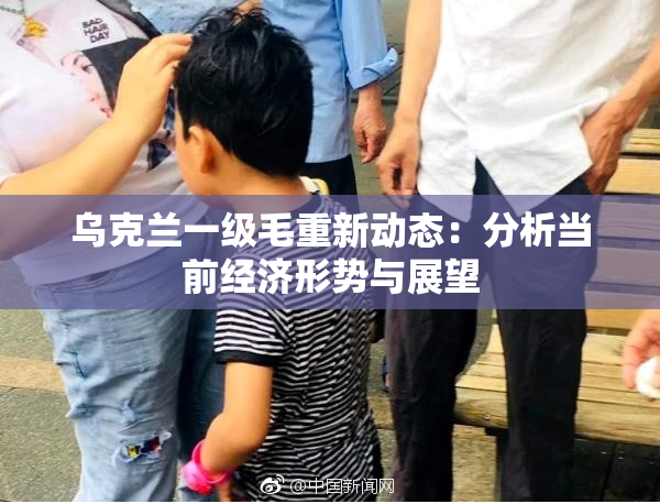 乌克兰一级毛重新动态：分析当前经济形势与展望