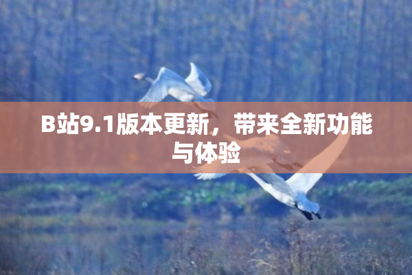 B站9.1版本更新，带来全新功能与体验