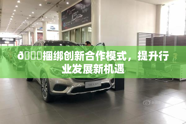 🔞捆绑创新合作模式，提升行业发展新机遇