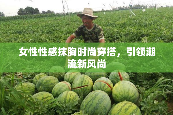 女性性感抹胸时尚穿搭，引领潮流新风尚