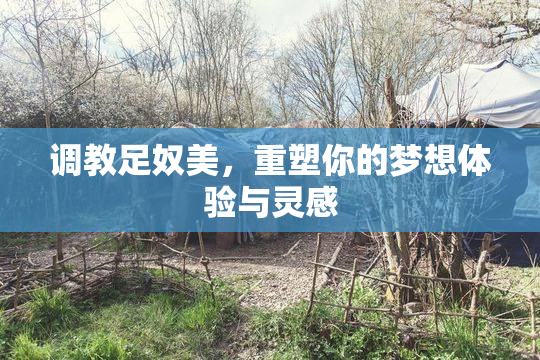 调教足奴美，重塑你的梦想体验与灵感