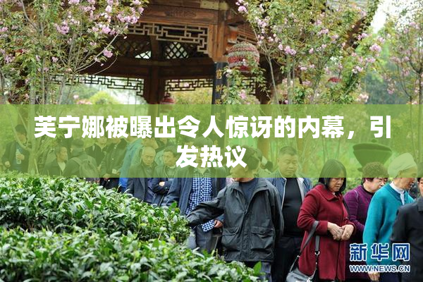 芙宁娜被曝出令人惊讶的内幕，引发热议